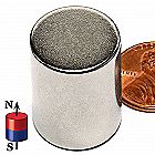 3/4-in x 1-in Rare Earth Neodymium Cylinder Magnet Strong Cylindrical Rod N42